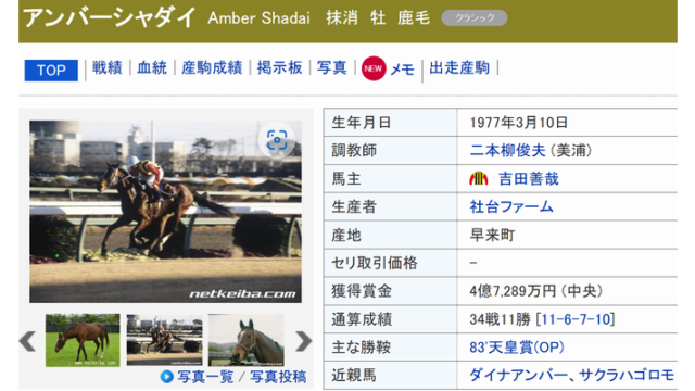 サラブレッド 0の理論 中島国治 中島国治著「サラブレッド 0の理論」