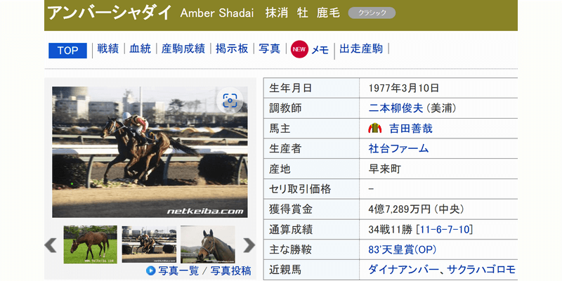 アンバーシャダイ (Amber Shadai) | 競走馬データ - netkeiba https://db.netkeiba.com/horse/1977103827/
