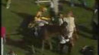 Prairie Bayou Preakness Stakes 1993