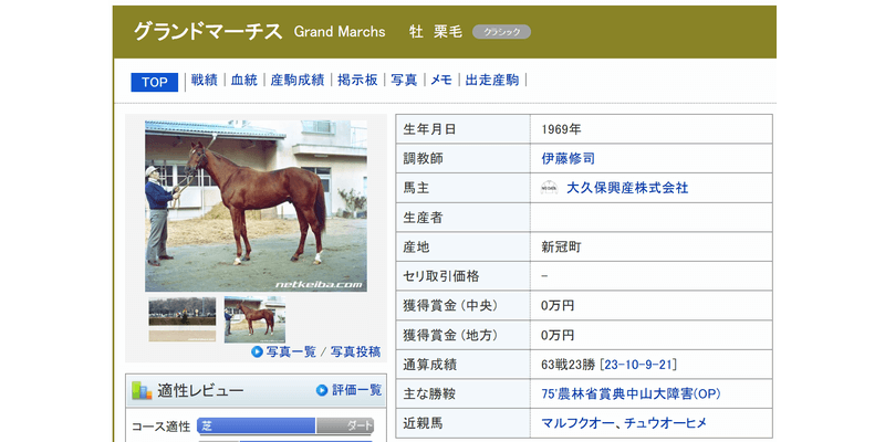 グランドマーチス (Grand Marchs) | 競走馬データ - netkeiba https://db.netkeiba.com/horse/000a000bd5/